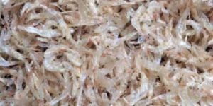 Indian Dried Baby Shrimps