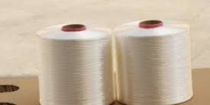 Nylon Monofilament Yarn