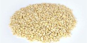 Polished Urad Dal