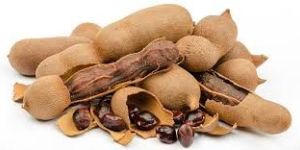 Tamarind Pods