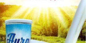 Skimmed Milk Powder Spray Dried