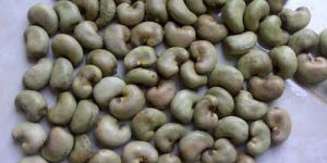 Raw Cashew Nuts