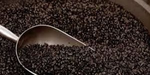 Coffee Roasters