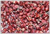 CAPSICUM FRUTESCENCE RED PEPPER