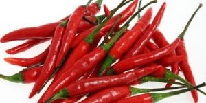 Fresh Red Chilli