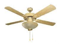 Decorative Ceiling Fan