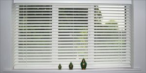 Venetian Blinds