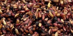 Dried Pomegranate Seed