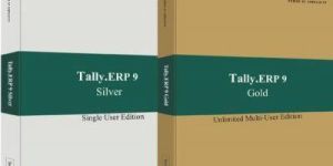 Tally Accounting Software