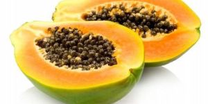 Carica Papaya