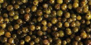 Pepper in Brine