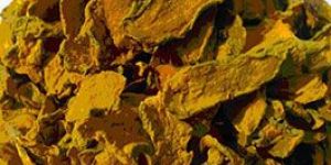 Turmeric