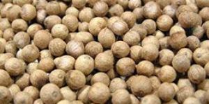 White Pepper