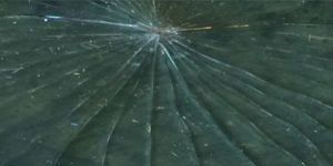 Heat Strengthened Glass