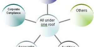 Statutory Auditing Services