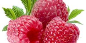Fresh Raspberry