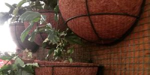 Coir Pots