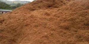 Coir Dust