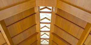 Heavy Duty Wooden Pallets