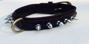 Dog Collars