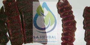 Acacia Concinna Extract