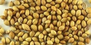 Coriander Seeds