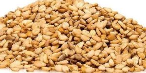 Sesame Seed
