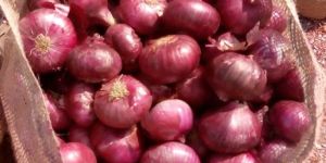 Fresh Red Onion