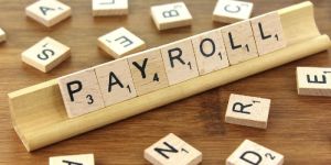 Payroll Software Development Services
