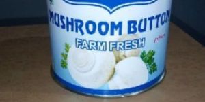 Vanya Treat Button Mushroom