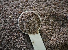 Psyllium Husk Seeds