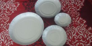 Delicacy Paper Plates