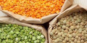 Indian Pulses