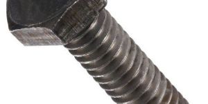 Hex Head Bolts