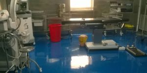 Seamless Flooring