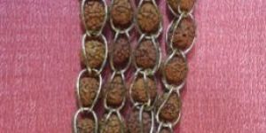 Original Rudraksha Mala