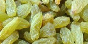 Green Raisins