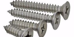 Self Threaded Screw
