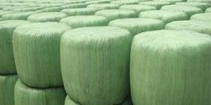Silage Film