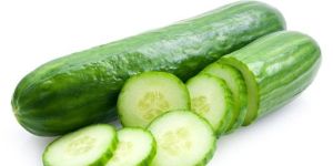 Fresh Cucumber