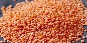 Red Lentils