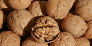 Shelled Walnut