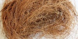 Coir Fiber