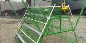 Poultry Cages