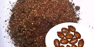 Castor Seed Meal