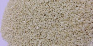 White Sesame Seeds
