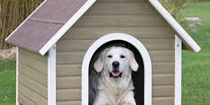 FRP Dog Houses