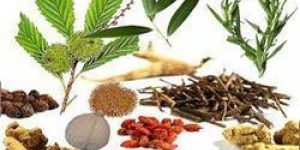 Herbal Raw Material