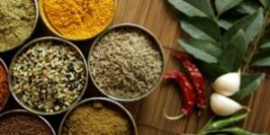 Indian Spices