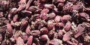 Black Cardamom